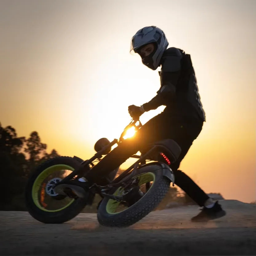 C91 2000W Dual Motor Ebike With Removable Battery Off Road