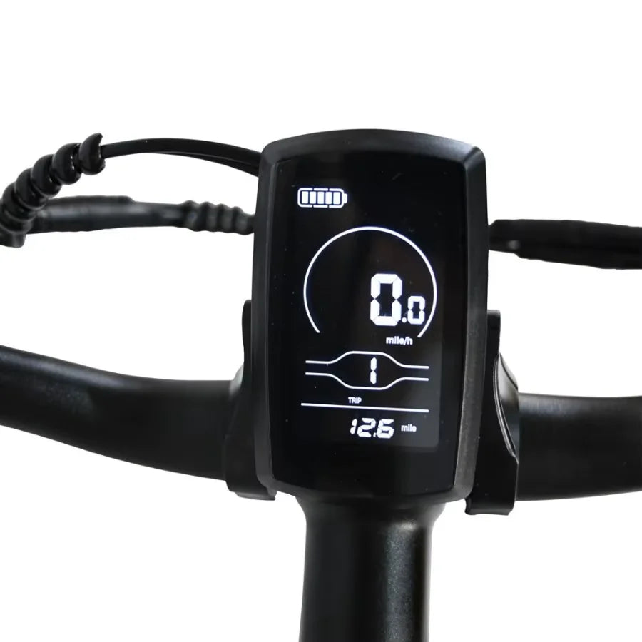 Ebike 500W 48V 12Ah Mountain Electric Bike For Adults
