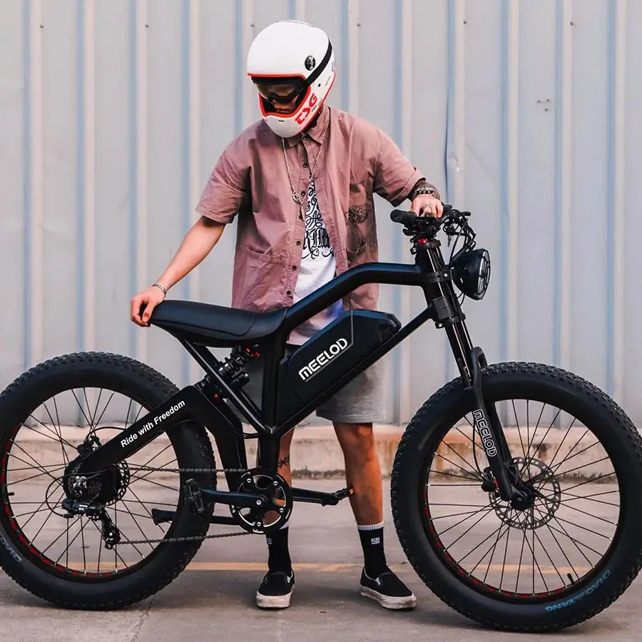 MEELOD XT600DL Dual 1000W Electric Fat Tire Mountain E Bike