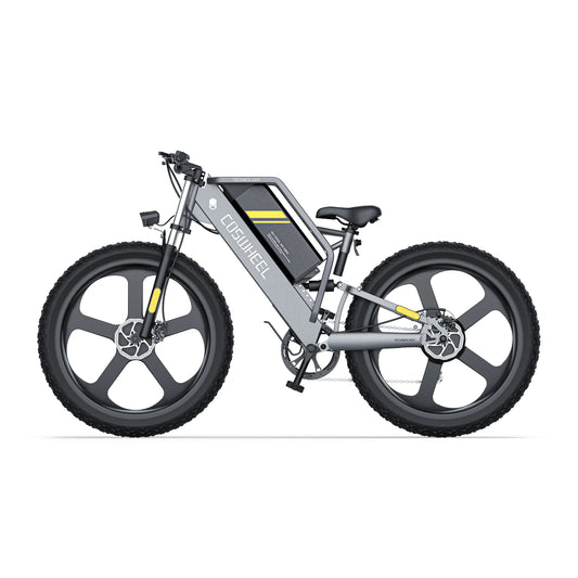 Coswheel T26 500W 48V 20Ah Electric Fat Tire Mountain Bike