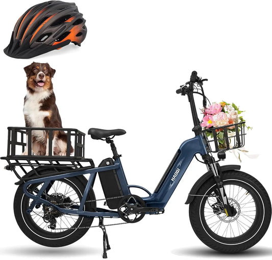 HAOQI Camel Electric Fat Tire E Bike 750W 48V Commute