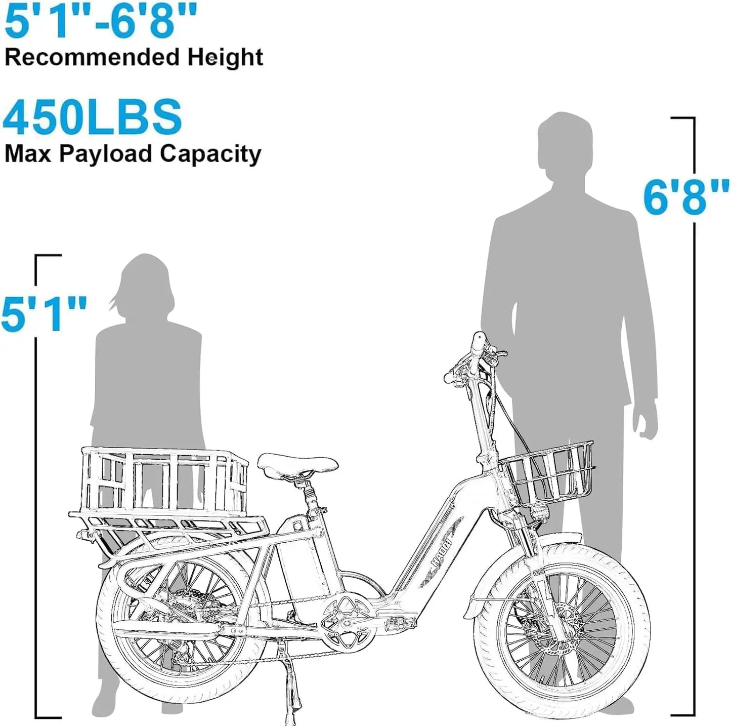 HAOQI Camel Electric Fat Tire E Bike 750W 48V Commute