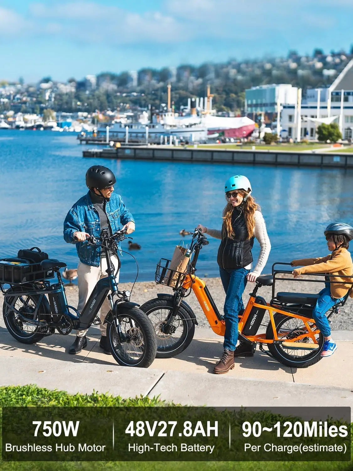 HAOQI Camel Electric Fat Tire E Bike 750W 48V Commute