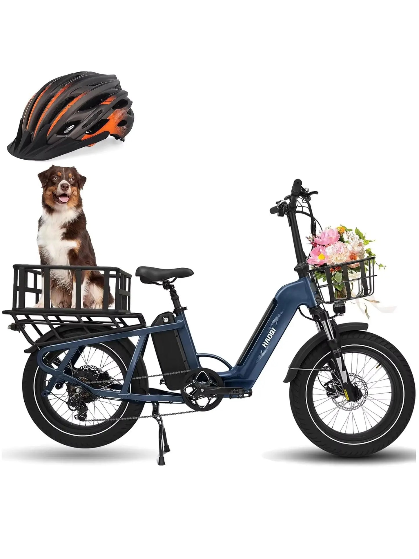 HAOQI Camel Electric Fat Tire E Bike 750W 48V Commute