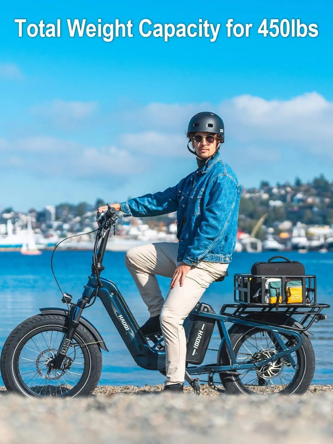 HAOQI Camel Electric Fat Tire E Bike 750W 48V Commute